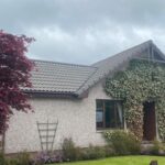 moss removal company Invergowrie