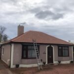 moss removal Invergowrie